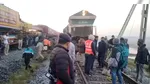 Șapte elefanți au murit după ce au fost loviți de un tren de mare viteză în India