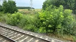Un tren cu ruta Brașov – Constanța are o întârziere de peste două ore. A rămas în câmp, fără aer condiționat