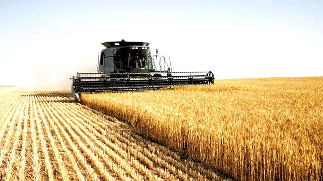 Până pe 25 octombrie trebuie plătit 50% din impozitul agricol pe 2017. Cum se calculează