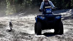 Top 4 modele de ATV-uri marca Polaris