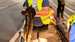 Canicula afectează circulația tramvaielor la Timișoara. Masticul de pe șinele de tramvai s-a topit