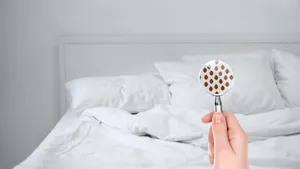 (P) Oamenii de ştiinţă au descoperit că Ploşnita de pat, “Bed Bug” -  Cimex Lectularius în denumirea ştiinţifică, manifestă o preferinţă distinctă pentru a se ascunde în anumite culori