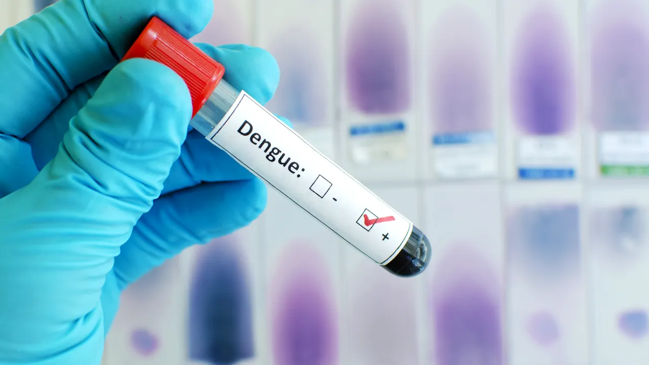 Oamenii de ştiinţă, semnal de alarmă: Europa ar putea fi „INVADATĂ” de viruşi tropicali care se transmit prin insecte