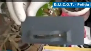 Opt arestaţi într-o anchetă privind fraude bancare şi operaţiuni de skimming