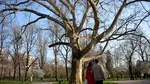 Val de căldură urmat de prăbuşire termică în a doua jumătate a lunii martie.  Prognoza pe două săptămâni. Cum va fi vremea în regiunea ta