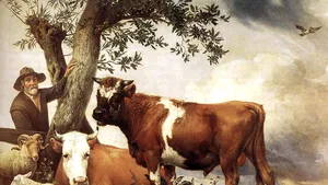 Semnificaţii istorice pentru 20 noiembrie