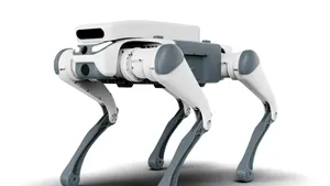 Primul oraș din România unde roboții fac ordine pe străzi