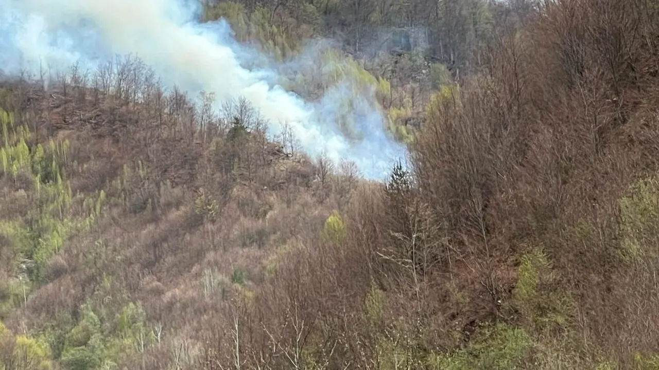 Incendiul de pădure din județul Argeș a fost lichidat după cinci zile. A fost provocat de o țigară