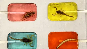 MEDIAFAX ZOOM: Poftiţi la masă! - GALERIE FOTO