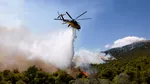 Un elicopter implicat în stingerea unui incendiu de vegetație s-a prăbușit. Două persoane se aflau la bord