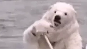 Protest inedit în faţa Kremlinului: Un urs polar s-a plimbat pe o banchiză pe râul Moscova - VIDEO, FOTO