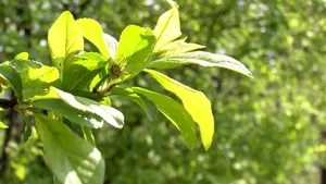 Prognoza meteo. Vine vreme ca de vară. Unde vor fi temperaturi de până la 27 de grade Celsius