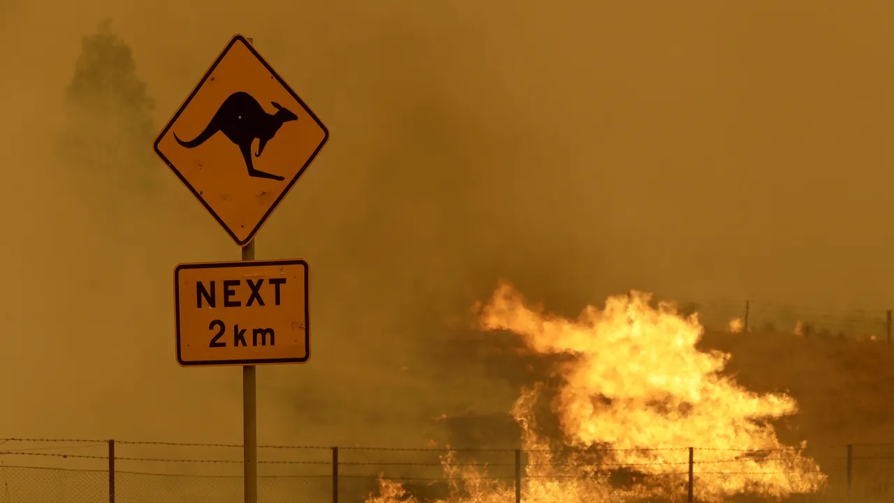 Australia, cuprinsă de un val de căldură. Pompierii se luptă cu incendiile de vegetaţie