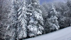 Strat de zăpadă de până la 10 centimetri în Masivul Retezat