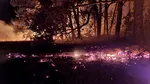 Incendiu uriaș în Cipru. Case distruse, cadavre găsite în mașini carbonizate