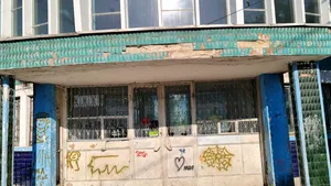 Igrasie şi mucegai, plante şi muşchi pe pilonul central din Autogara Baia Mare, închisă de OPC