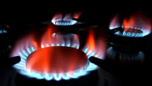 Bejinariu: Preţul gazelor naturale s-ar putea reduce cu până la 30%