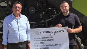Fermierii campioni la rapiță din Oltenia
