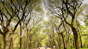 Nud în Central Park din New York. Este o nouă reprezentaţie cu ”Furtuna” lui Shakespeare - VIDEO 