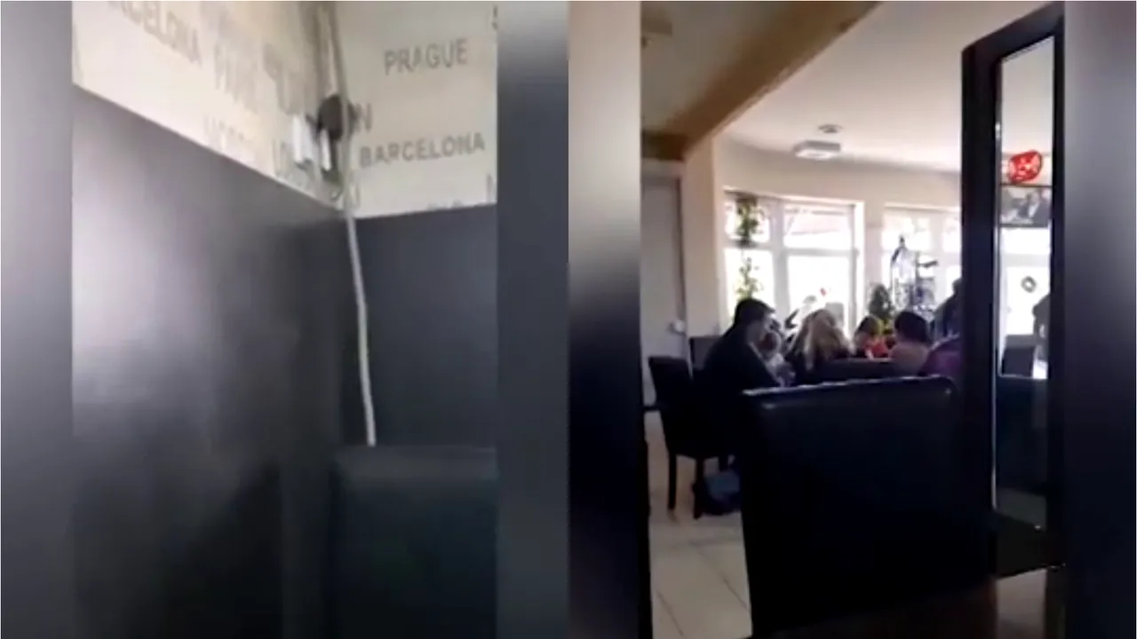 Un şobolan a fost filmat plimbându-se pe peretele unei cofetării din Târgu-Jiu. VIDEO