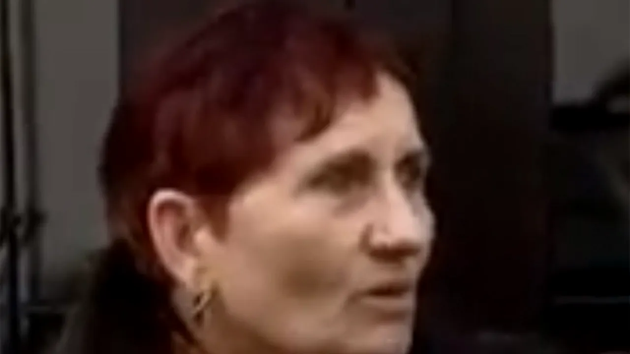 Cererea Emiliei Ghinescu privind stabilirea unui program de vizitare a nepotului său, respinsă