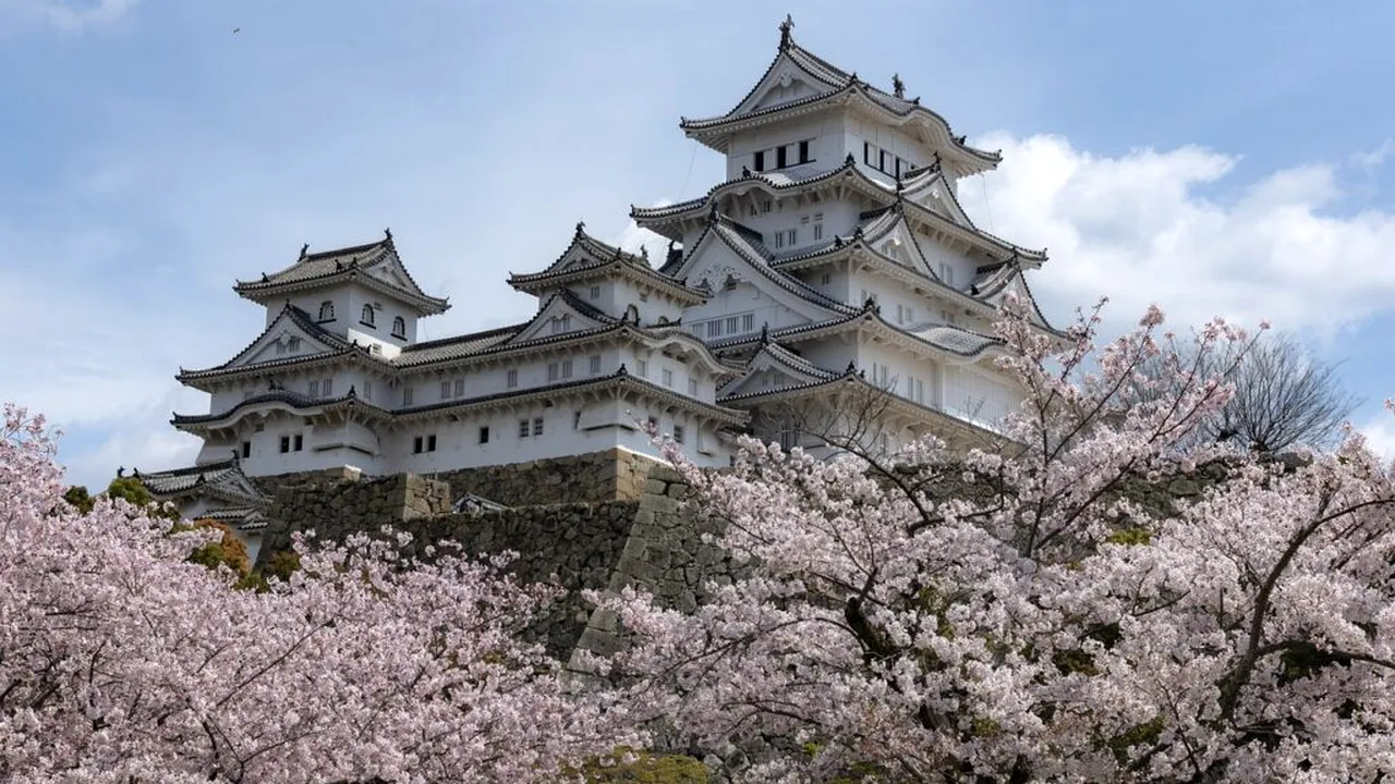 Schimbarea climei dă peste cap un eveniment turistic mondial. Cireșii japonezi vor înflori mai repede în 2026