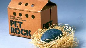 Top nouă idei de afaceri ridicole care le-au adus fondatorilor profituri uriaşe