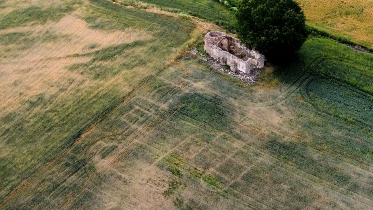 Ploile au scos la iveală o vilă romană uriașă în Spania, ascunsă de aproape 2.000 de ani sub un lan de cereale