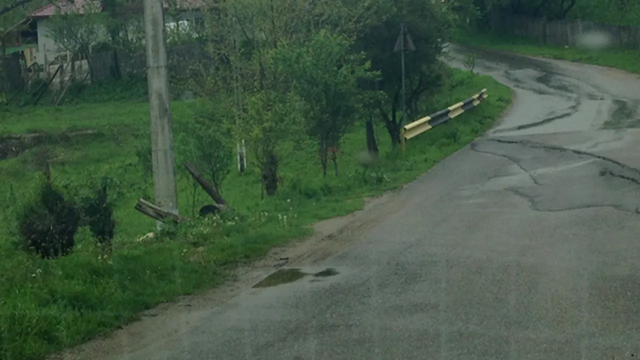 CJ Prahova cere Guvernului ajutor de 26 de milioane de lei pentru zonele afectate de inundaţii - FOTO