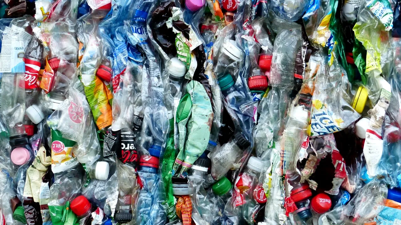 Greenpeace avertizează: Plasticul reciclat poate fi mai toxic şi nu este o soluţie pentru poluare