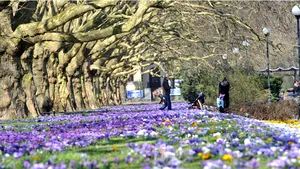 MEDIAFAX ZOOM: Primăvara 2014 - GALERIE FOTO