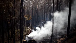 Peste 180 de oameni au fost arestaţi în Australia, acuzaţi că au provocat incendii. Dintre aceştia, 67 sunt minori