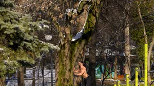 Vremea în București în până vineri: frig, ploi slabe și vânt cu rafale de până la 50 km/h