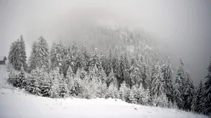 Avertizare meteo: Cod roșu de vânt puternic în zona montană a județului Alba