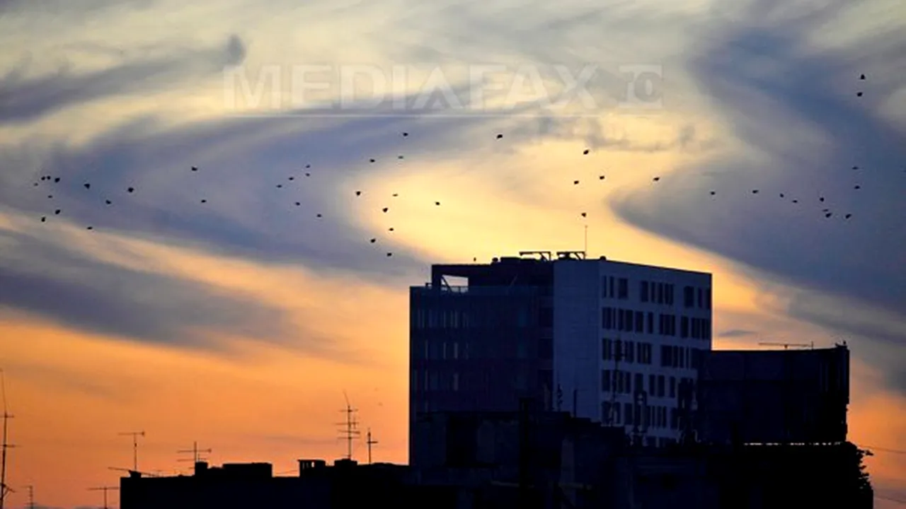 PROGNOZA METEO: Vremea se încălzeşte. Ce temperaturi se vor înregistra joi şi vineri în ţară şi în Capitală