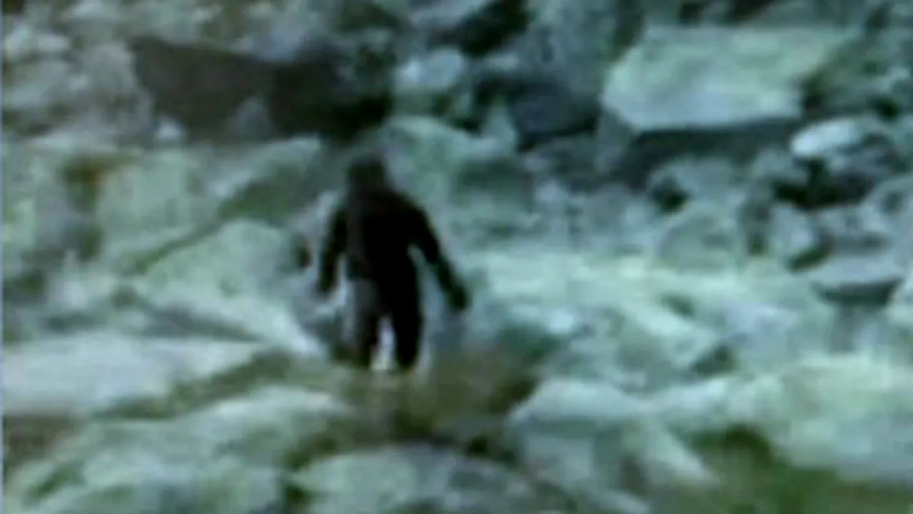 Yeti din Polonia, filmat de un localnic