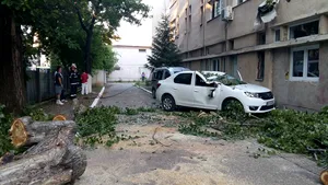 FOTO Spitalul din Alba Iulia a rămas fără gaz, după ce un copac a căzut pe o conductă şi a fisurat-o