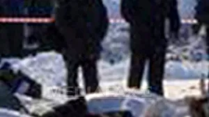 Unele dintre cele mai vechi fosile de câine, datând din urmă cu 33.000 de ani, descoperite în Siberia