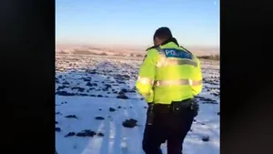 Încă un caz de violenţă împotriva animalelor: O femeie şi-a găsit câinii împuşcaţi pe un câmp din Suceava 