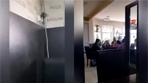 Un şobolan a fost filmat plimbându-se pe peretele unei cofetării din Târgu-Jiu. VIDEO