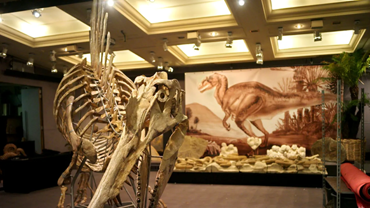 Cei mai mari dinozauri carnivori erau semiacvatici
