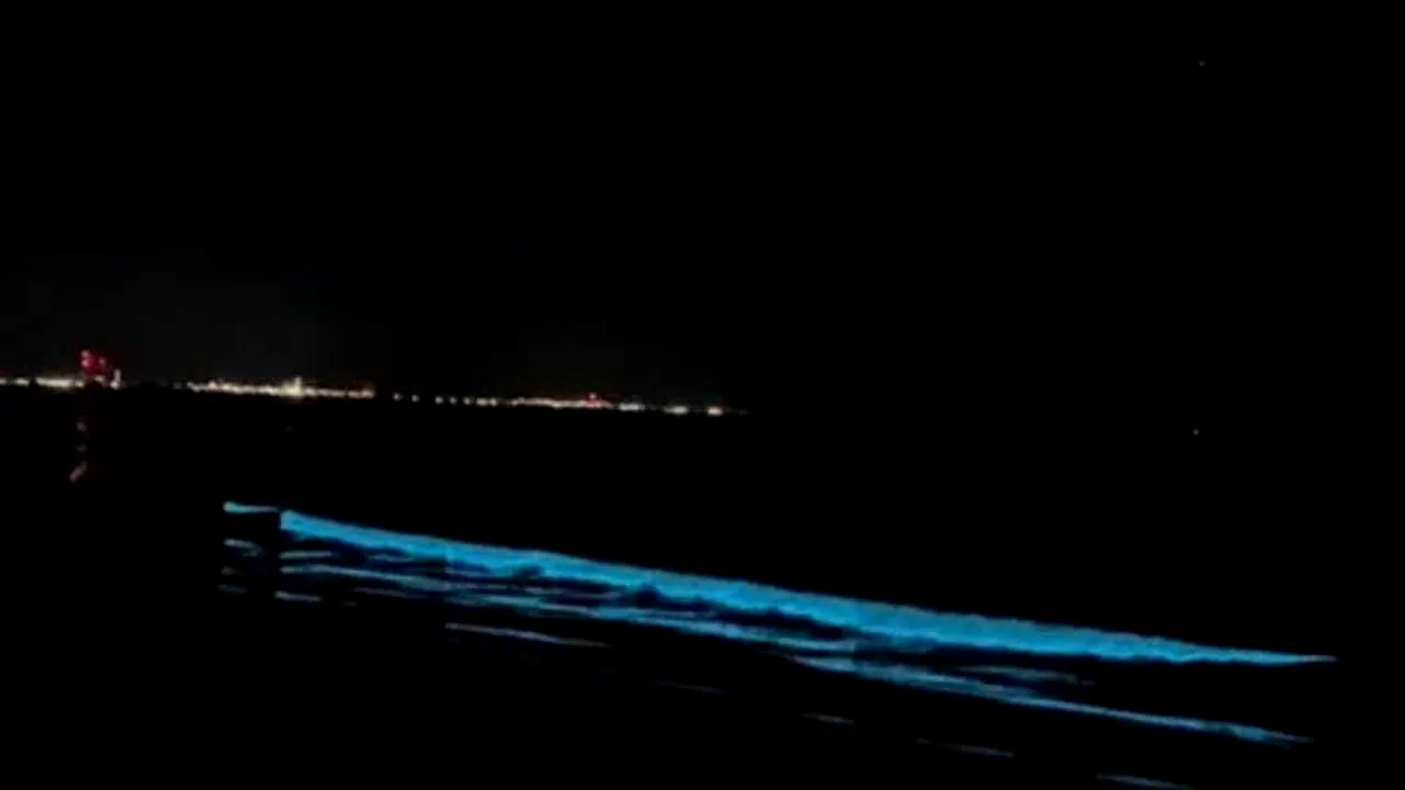 Fenomen spectaculos pe malul Mării Negre: valurile au emis lumină