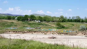 ATAC fatal al albinelor. Doi morţi si o persoană în şoc anafilactic, în judeţul Buzău. Primarul povesteşte cum s-a întâmplat tragedia - FOTO 