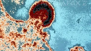 Proteina care împiedică înmulţirea virusului HIV, descoperită de cercetători