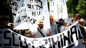 Panseluţe, dulceaţă şi adevărul Mineriadei, cadou pentru Nina Iliescu la finalul unui protest