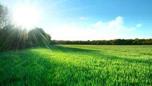 Vremea va fi mult mai caldă decât în mod obişnuit, maximele ating şi 33 grade Celsius. PROGNOZA METEO pentru miercuri şi joi