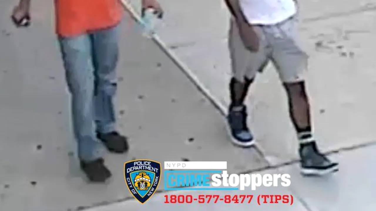VIDEO O mamă şi-a salvat fiul de 5 ani de la o răpire în plină zi la New York