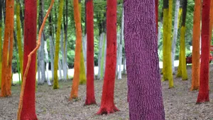 O pădure colorată. Templul naturii, ridicat de artistul Mihai Ţopescu într-un codru din Poienari. 