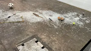 „Lipsă totală de profesionalism şi respect”. Cum a reuşit un critic să sfărâme în bucăţi o piesă de artă de 20.000 de dolari