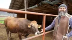 Satul „brânzeturilor dumnezeieşti”: Un preot din judeţul Sibiu şi-a făcut fermă şi altar